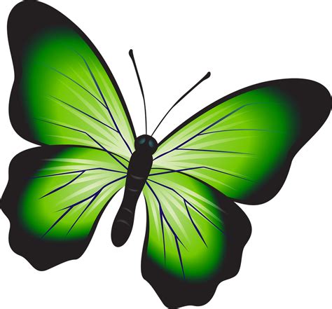 borboleta verde-4
